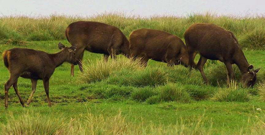 HORTON PLAINS NATIONAL PARK
