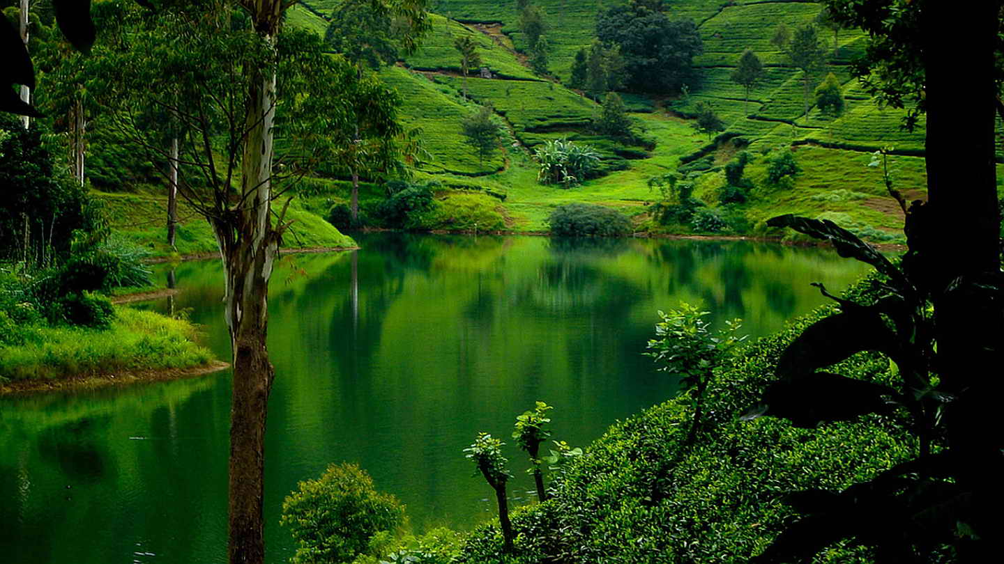 NUWARA ELIYA